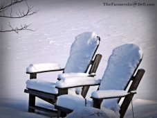 adirondak chairs in snow - TheFarmersInTheDell.com