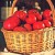 basil and garlic tomato sauce recipe - TheFarmersInTheDell.com