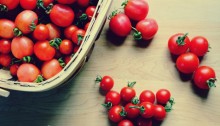 cherry tomatoes - TheFarmersInTheDell.com