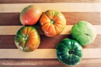 ripening tomatoes - TheFarmersInTheDell.com