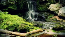 waterfall - TheFarmersInTheDell.com
