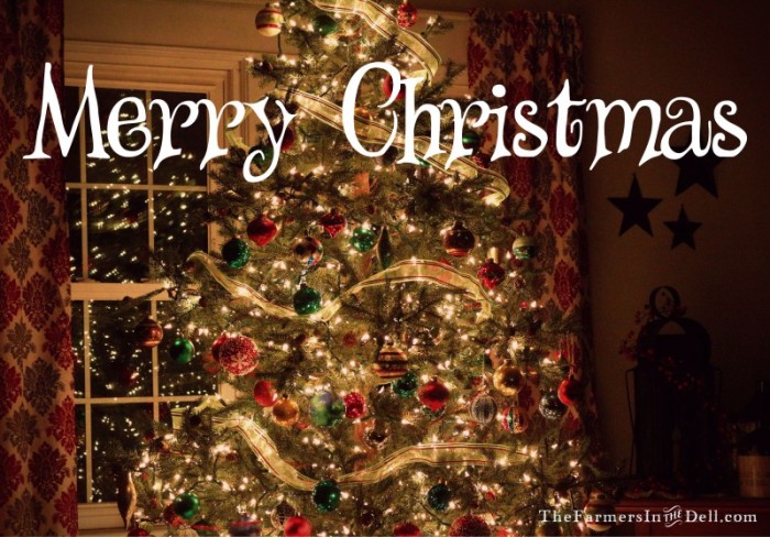 christmas tree - TheFarmersInTheDell.com