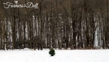 little christmas tree - TheFarmersInTheDell.com