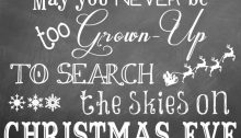 may you never be too grown up to search the skies on Christmas Eve - TheFarmersInTheDell.com