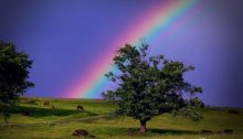 rainbow after thunderstorm - TheFarmersInTheDell.com