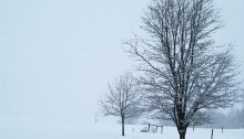 winter storm - TheFarmersInTheDell.com