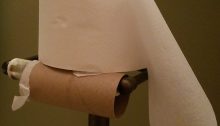 toilet paper - TheFarmersInTheDell.com