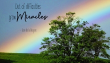 out of difficulties grow miracles - TheFarmersInTheDell.com
