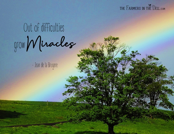 out of difficulties grow miracles - TheFarmersInTheDell.com