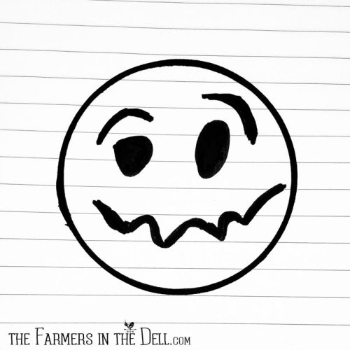 anxiety face - TheFarmersInTheDell.com