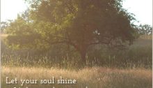 let your soul shine - TheFarmersInTheDell.com